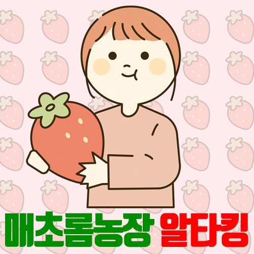 [매초롬농장] 딸기(알타킹) 500g